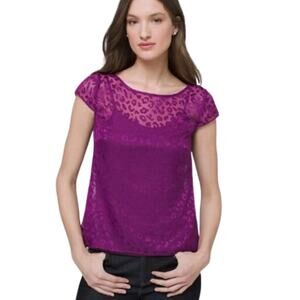 White House Black Market Purple Sheer Leopard Burnout Blouse Size Medium